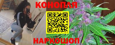 МДПВ Гусев