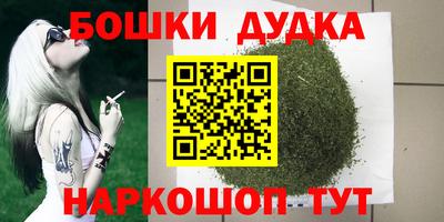 гашик Гусь-Хрустальный