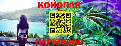 гашик Гусь-Хрустальный