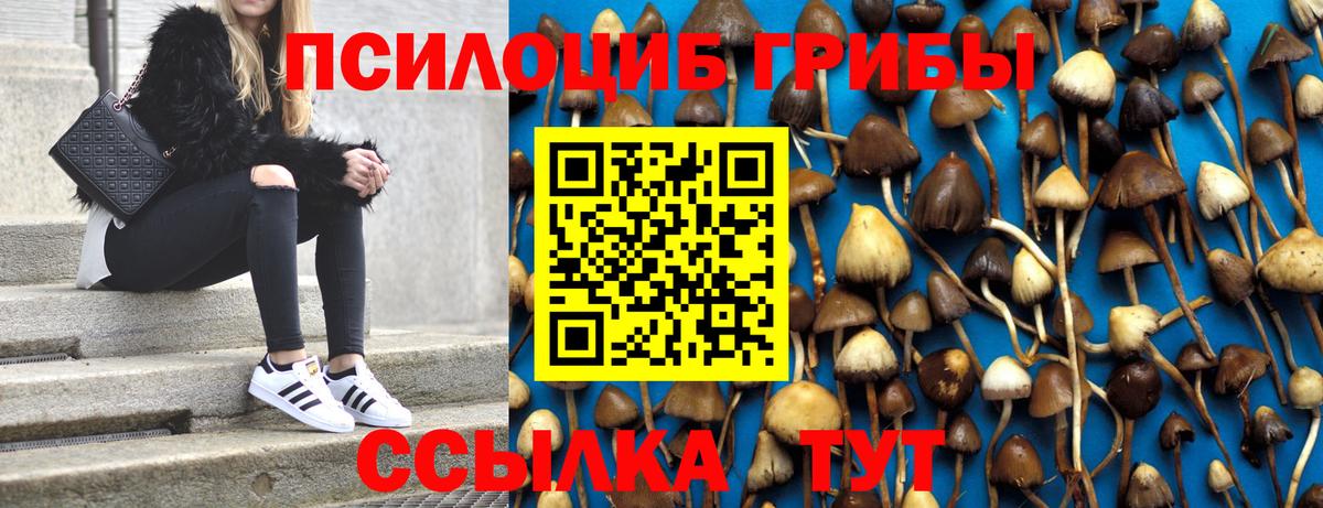 Псилоцибиновые грибы MAGIC MUSHROOMS  Галлюциногенные грибы Cubensis  Нефтеюганск  Вход с VPN 
